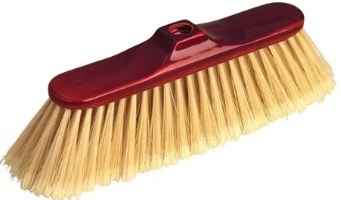 Escobillon roble - Mapuche